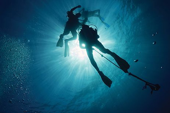 Team-Divers Järfälla - photo 2