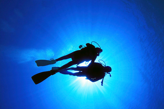 Team-Divers Järfälla - photo 0